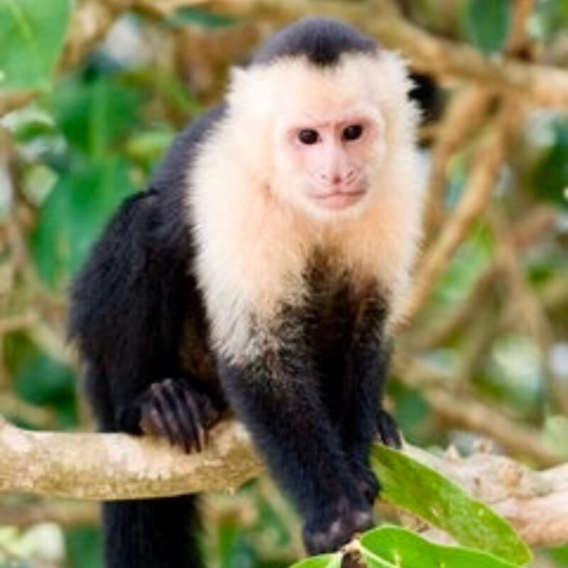 Diseno sin titulo 2024 04 27T195703.525