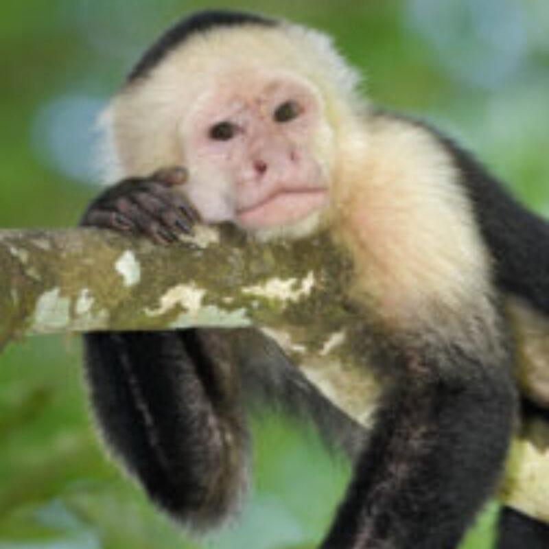 Diseno sin titulo 2024 04 27T195802.306