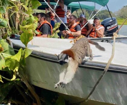 monkey island tour