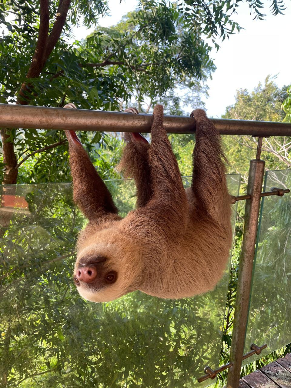 WhatsApp Image 2025 07 10 at 17.32.03 6